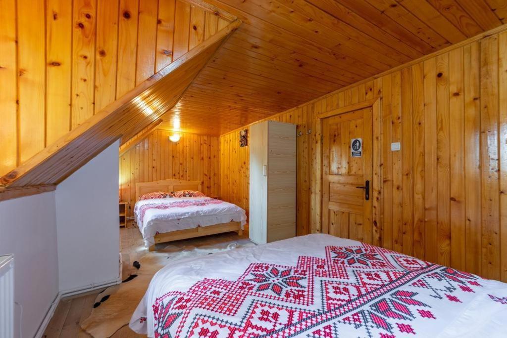 Cabana Rausor Cîmpulung Extérieur photo